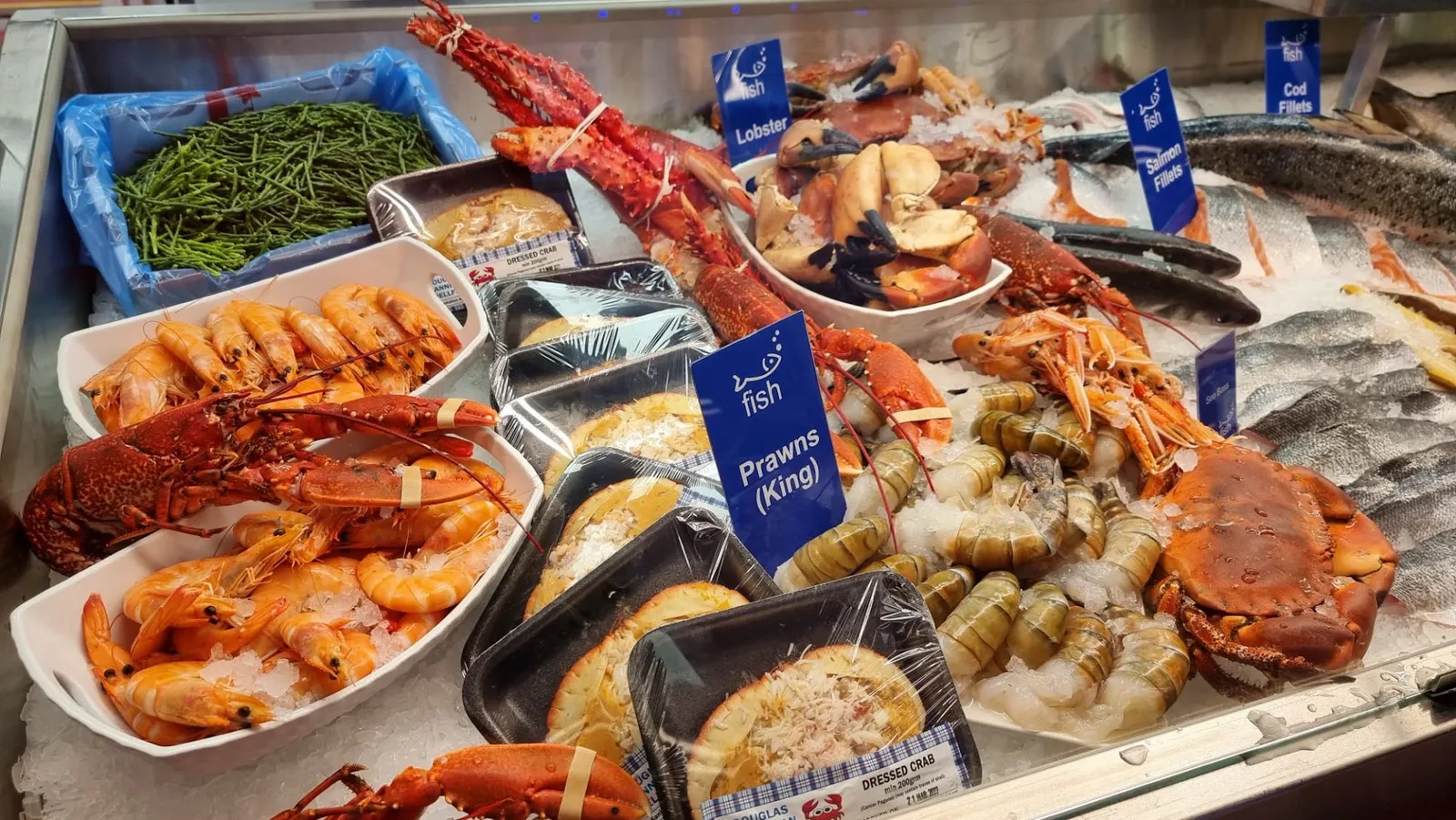 Fish · Photos 1